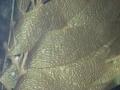 img357.jpeg.small.jpeg