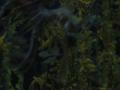 img362.jpeg.small.jpeg