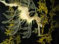 img363.jpeg.small.jpeg