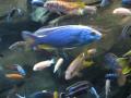 img371.jpeg.small.jpeg