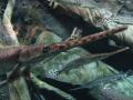 img372.jpeg.small.jpeg