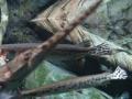 img373.jpeg.small.jpeg