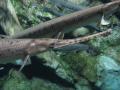 img374.jpeg.small.jpeg