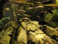 img375.jpeg.small.jpeg