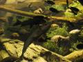 img376.jpeg.small.jpeg