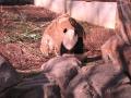 img101.jpeg.small.jpeg