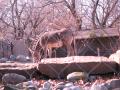 img102.jpeg.small.jpeg