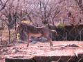 img103.jpeg.small.jpeg